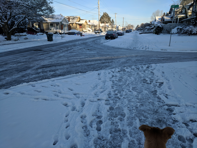 Illustration for article titled 2019 Snowpocaloggedon™: Day 3